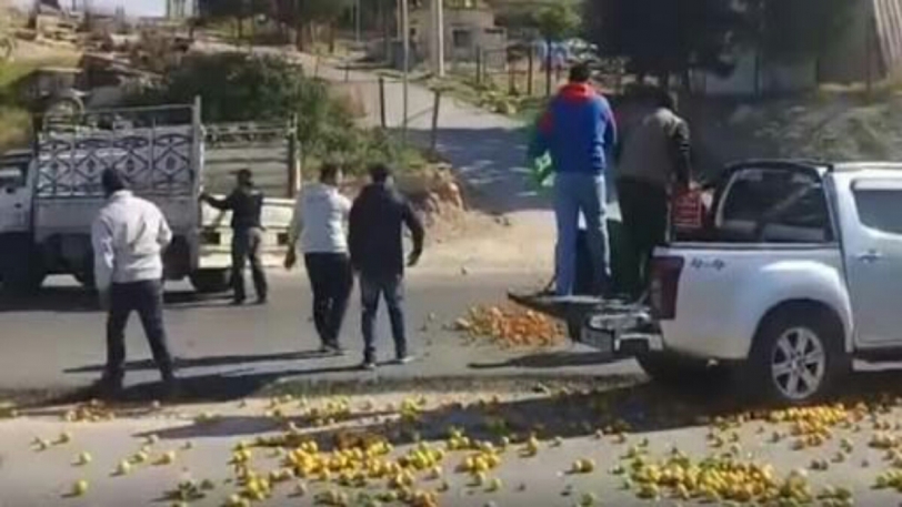 بالفيديو.. أردنيون يعترضون على تدفق "الحمضيات السورية" على طريقتهم الخاصة