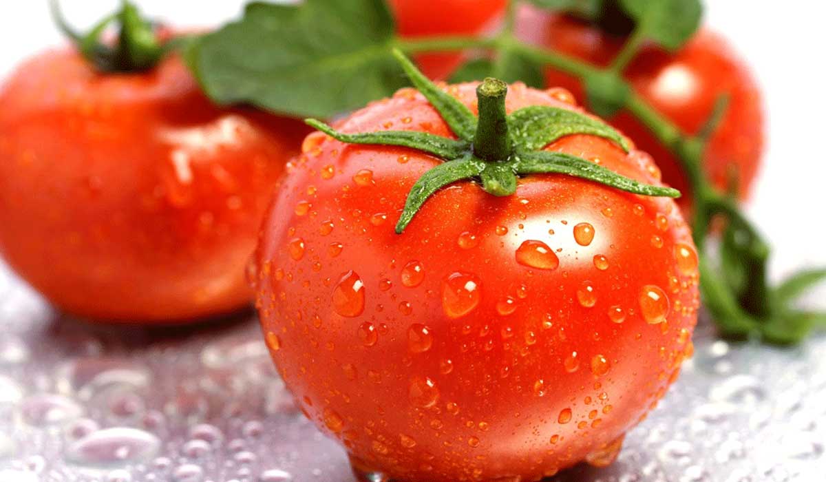 للرجال.. الطماطم تحميك من سرطان البروستاتا
