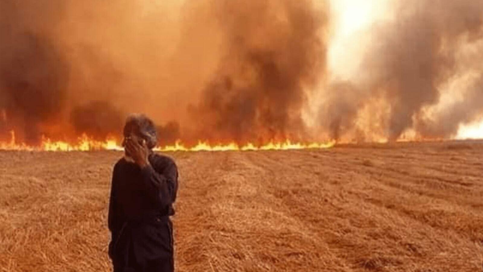 استمرار الحرائق شرق سوريا.. وتلف مئات الهكتارات من محصول القمح