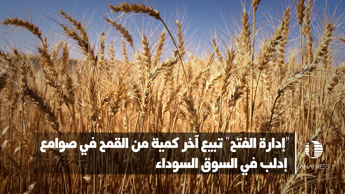 "إدارة الفتح" تبيع آخر كمية من القمح في صوامع إدلب في السوق السوداء